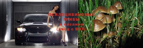 мяу мяу мука Кострома