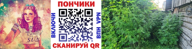 Конопля VHQ  Электросталь 